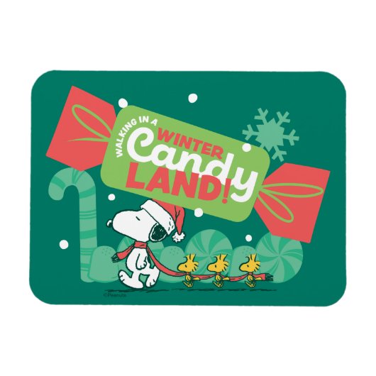 Wandern in einem winterlichen, feinen Land! Magnet (Horizontal)