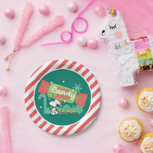 Wandern in einem winterlichen, feinen Land! Pappteller (Party)