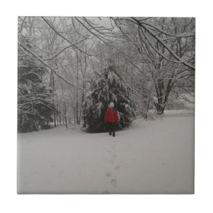 Wandern in einem Winterwunderland Fliese