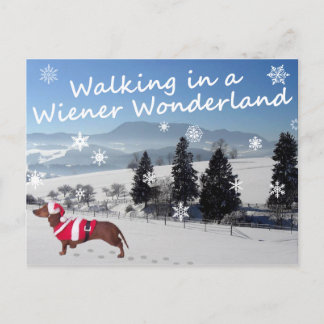 Wandern in einer Dackel Wunderland Postkarte
