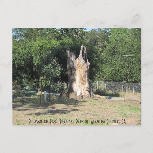 Wandern in Pleasanton, CA 6 Postkarte (Vorderseite)