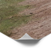 WANDERN MIT BIGFOOT SASQUATCH - ICH WEISS POSTER (Ecke)