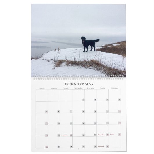 Wandern mit dem Hazel 2022 Kalender (Dez 2027)