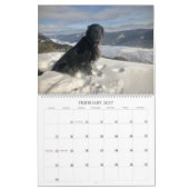 Wandern mit dem Hazel 2022 Kalender (Feb 2027)