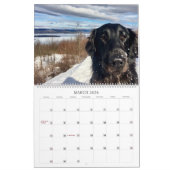 Wandern mit dem Hazel 2022 Kalender (Mär 2026)