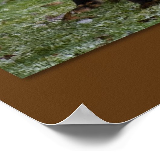 Wandern! Poster (Ecke)