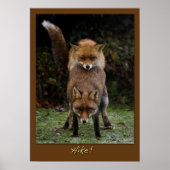 Wandern! Poster (Vorne)