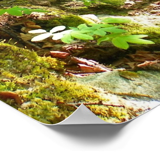 Wandern Poster (Ecke)