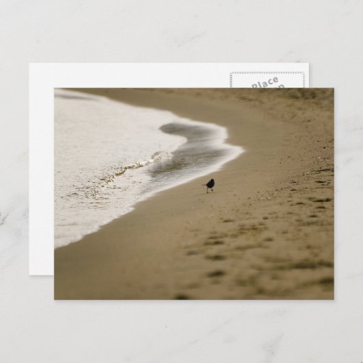 Wandern Postkarte (Vorne/Hinten)