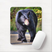 Wandern Schwarzer Bär Naturerlebnis-Image für Tier Mousepad (Mit Mouse)