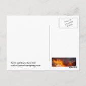 Wandernde Vögel in Israel Postkarte (Rückseite)