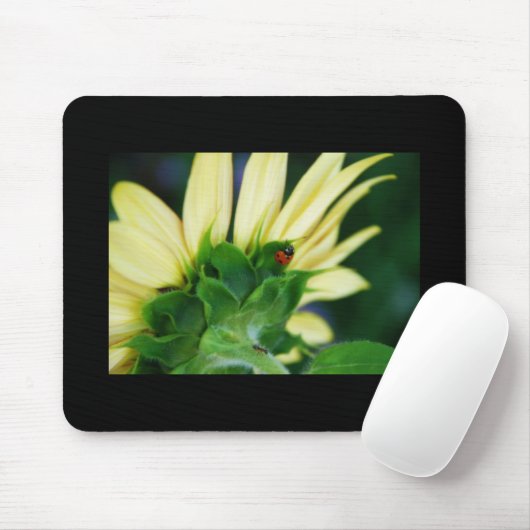 Wandernder Marienkäfer Mousepad (Mit Mouse)