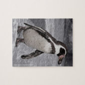 Wanderpinguin Puzzle (Horizontal)