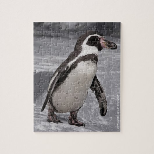 Wanderpinguin Puzzle (Vertikal)