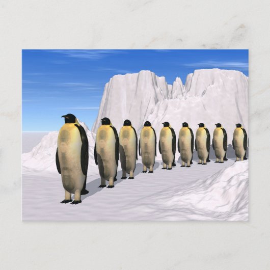 Wanderpinguine Postkarte (Vorderseite)