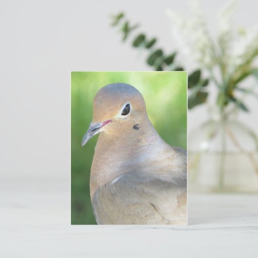 Wandertaube Postkarte (Stehend Vorderseite)