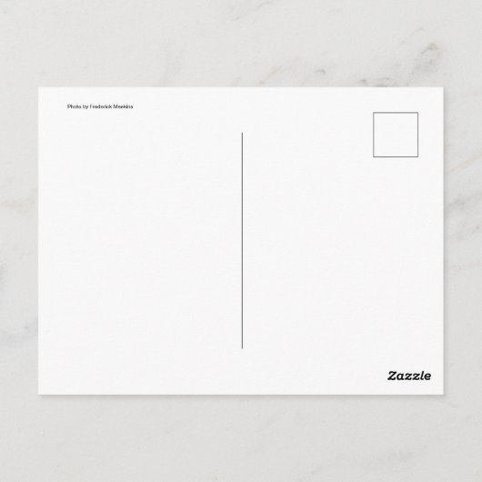 Wandertaube Postkarte (Rückseite)