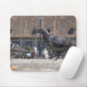 Wandertauben Mousepad (Mit Mouse)