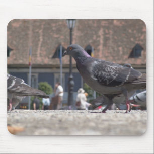 Wandertauben Mousepad