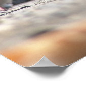 Wandertauben Poster (Ecke)