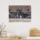 Wandertauben Poster (Küche)