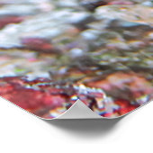 Wanderung Catfshark Portrait Poster (Ecke)