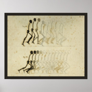 Wanderung Gait Analysis Leg Spine Chiropractic Cha Poster