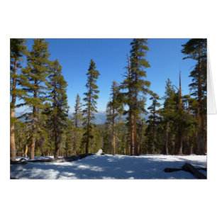 Wanderung hinab von Mitchell Peak im Sequoia