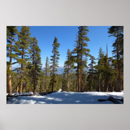 Wanderung hinab von Mitchell Peak im Sequoia Poster (Vorne)