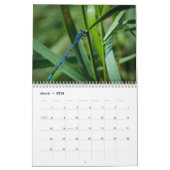 Wanderung zwischen den Sommerkalender der Wildblum Kalender (Mär 2026)