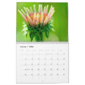 Wanderung zwischen den Sommerkalender der Wildblum Kalender (Jan 2026)