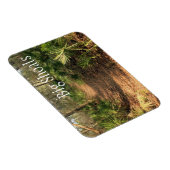 Wanderweg, Big Shoals Staat Park, Florida Magnet (Rechte Seite)