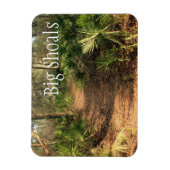 Wanderweg, Big Shoals Staat Park, Florida Magnet (Vertikal)
