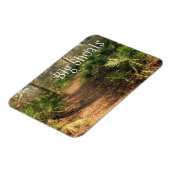 Wanderweg, Big Shoals Staat Park, Florida Magnet (Linke Seite)