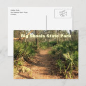 Wanderweg, Big Shoals Staat Park, Florida Postkarte (Vorne/Hinten)