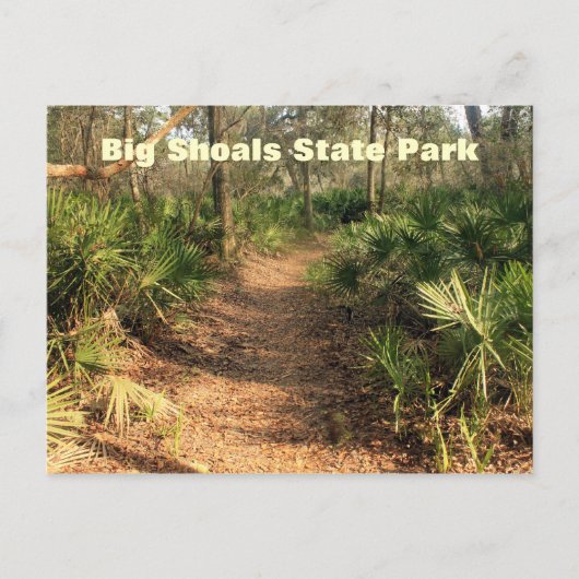 Wanderweg, Big Shoals Staat Park, Florida Postkarte (Vorderseite)