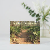 Wanderweg, Big Shoals Staat Park, Florida Postkarte (Stehend Vorderseite)