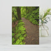 Wanderweg durch den Wald Dankeskarte (Stehend Vorderseite)
