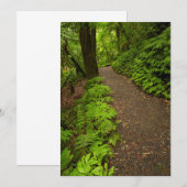 Wanderweg durch den Wald Dankeskarte (Vorne/Hinten)