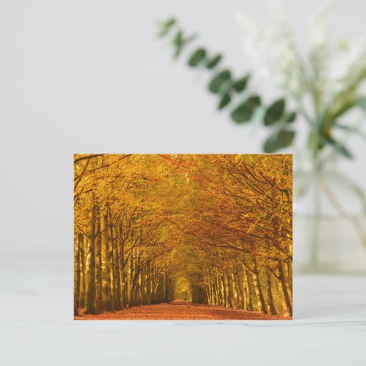 Wanderweg durch den Wald im Herbst Postkarte (Stehend Vorderseite)