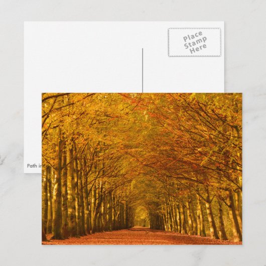 Wanderweg durch den Wald im Herbst Postkarte (Vorne/Hinten)