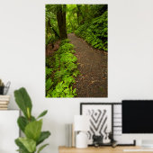 Wanderweg durch den Wald Poster (Heimbüro)