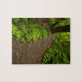 Wanderweg durch den Wald Puzzle (Horizontal)