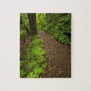 Wanderweg durch den Wald Puzzle