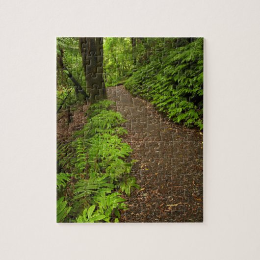 Wanderweg durch den Wald Puzzle (Vertikal)