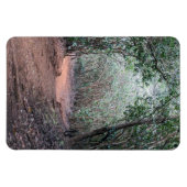 Wanderweg Foto Magnet (Horizontal)