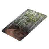 Wanderweg Foto Magnet (Linke Seite)