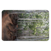 Wanderweg Foto Magnet (Horizontal)