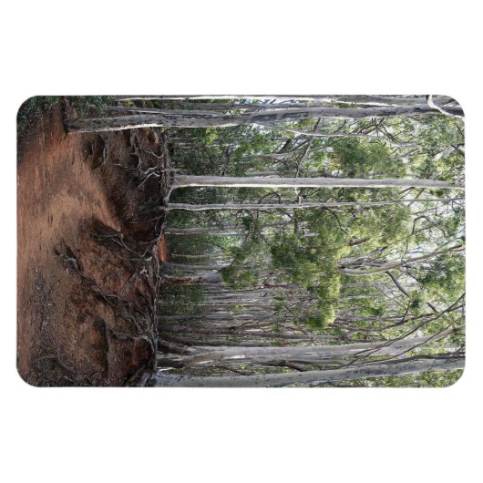 Wanderweg Foto Magnet (Horizontal)