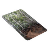 Wanderweg Foto Magnet (Rechte Seite)